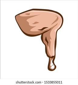fried chicken isolated eps 10 - vector illustration
