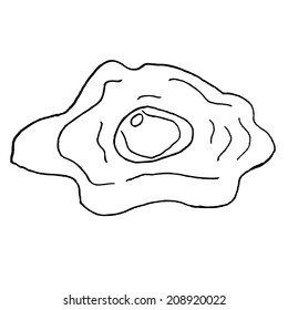 fried egg