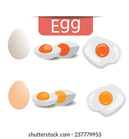Fried Egg and Boiled egg vector illustration 1