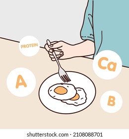 A fried egg breakfast contains protein, vitamin A, B vitamins and calcium, illustrator design and isolated background.