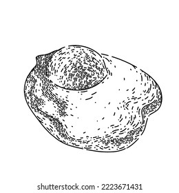 fried egg hand drawn vector. white yolk yellow food, healthy cook, round, protein meal fried egg sketch. isolated black illustration