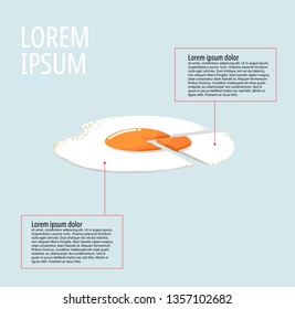 Fried egg infographic chart on pale blue background, vector illstration