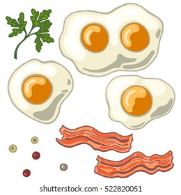 Fried egg isolated on white background with fried bacon, papper and cilantro, vector illustration