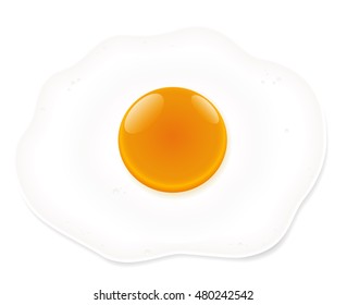Fried egg - isolated vector illustration on white background.
