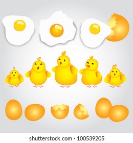 fried egg and little chickens. Vector illustration