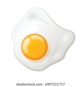 Fried egg omelette isolated illustration