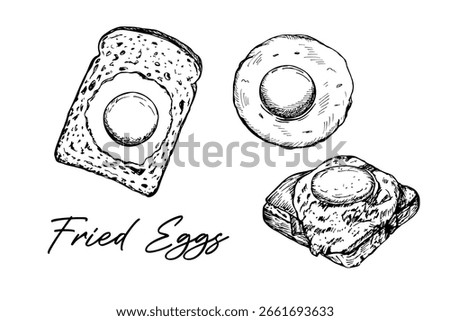 Fried egg on toast set, prepared egg for breakfast, lunch. Sketch outline illustration, doodle drawing in engraving style. Hand-drawn vector line art clipart