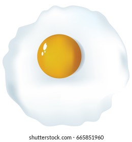 Fried egg from one egg. Vector illustration.