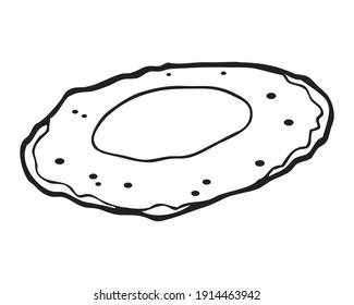 fried egg outline vector illustration,
isolated on white background.Food top view