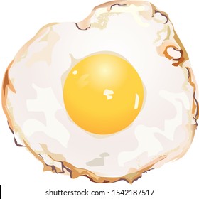 Fried Egg Tasty, Vertor Illustator