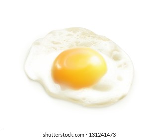 Fried egg, vector