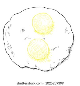 Fried egg vector illustration hand drawn ink