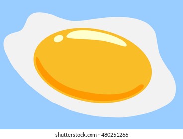 Fried egg Vector illustration of omelette