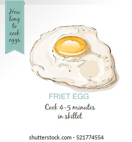 Fried egg vector isolated. Egg breakfast. Fried egg in vintage style sketch.