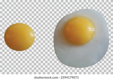 Fried egg and yolk on a transparent background. Vector eps image.