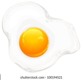 Fried eggs on white, food ingredients, vector illustration