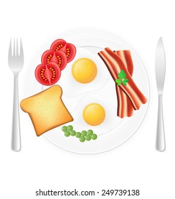 fried eggs with toast bacon and vegetables on a plate vector illustration isolated on white background