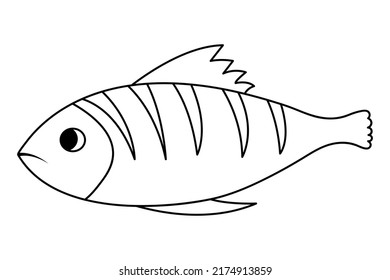 Fried fish. Perch with cuts on the skin. Sketch. Vector illustration. Coloring book for children. Whole fish carcass with tail and fins. Outline on isolated background. Doodle style. 