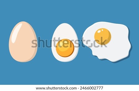 Fried, half and eggs in shell. Eggs isolated on background. Vector illustration in flat style