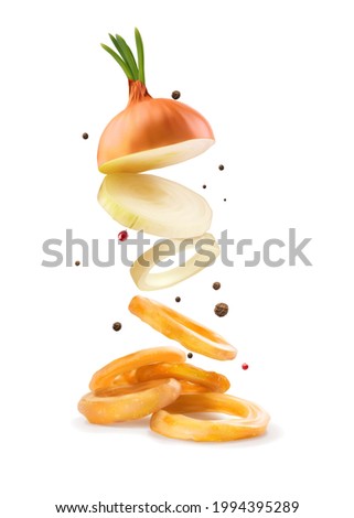 Fried onion rings. Vector illustration.
