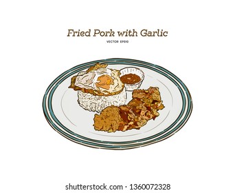 Fried Pork with Garlic, Pepper and fried egg on rice. Easy thai food. Hand draw sketch vector.