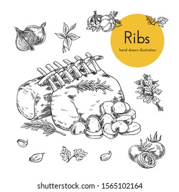 fried ribs illustrations. holiday meat dish. hand drawn vector illustration. sketches