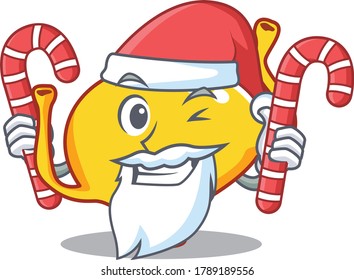 Friendly bladder in Santa Cartoon character holds Christmas candies