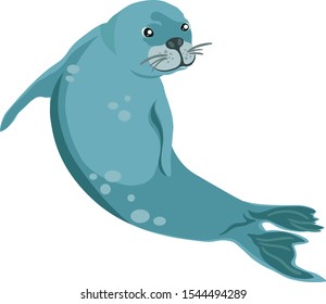 friendly blue floating fur seal