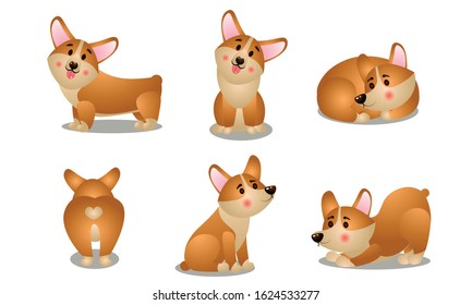 Friendly brown corgi dogs in different poses vector illustration