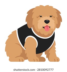 Friendly brown dog with fluffy fur wearing black vest sitting on ground looking happy outdoor