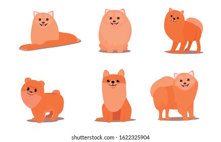 Friendly brown fluffy spitz dogs in different poses vector illustration