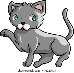 a friendly cat