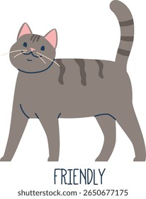Friendly cat pet animal language