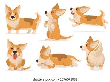 Friendly corgi set. Cartoon pet expressing different emotions, comic puppy dog sleeping, running, sitting. Vector illustration for pet care, domestic animals, cute character concept