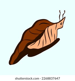 Friendly cute brown snail on the ground