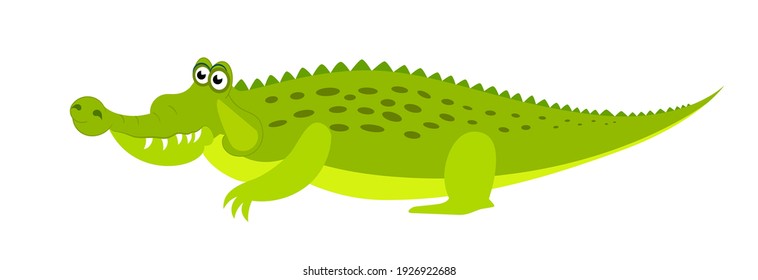 Friendly cute green сrocodile сharacter. Aligator flat vector cartoon illustration. Funny wild animal isolated on white background