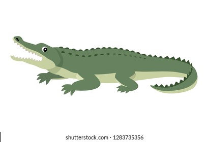 Amigable cocodrilo verde, divertido animal salvaje, cocodrilos de dibujos animados, ilustración vectorial aislada en fondo blanco