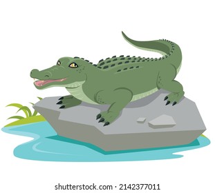 Friendly cute green alligator, funny wild animal, cartoon crocodiles, vector illustration isolated on white background