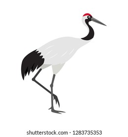 Friendly Cute Red-crowned Or Japanese Crane Icon, Colorful Wild Bird, Vector Illustration Isolated On White Background