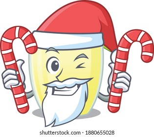 Friendly daiquiri cocktail dressed in Santa Cartoon character with Christmas candies