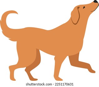 Friendly dog character. Cartoon labrador. Funny pet