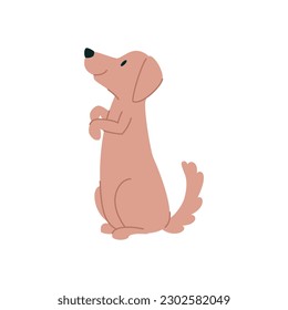 Friendly dog vector illustration. Funny puppy drawn in a flat style isolated on a white background. 