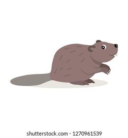 Friendly forest animal, cute brown beaver icon, isolated on white background, cartoon woodland beast, vector illustration