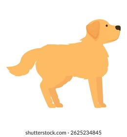 Friendly golden retriever standing with its head up, paying attention to something in the distance