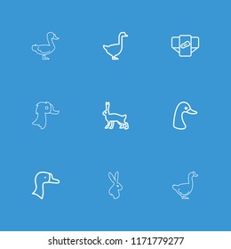 Friendly icon. collection of 9 friendly outline icons such as goose, rabbit. editable friendly icons for web and mobile.