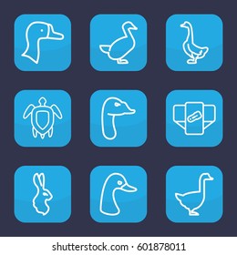 friendly icon. Set of 9 outline friendly icons such as goose, rabbit, diaper