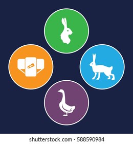 friendly icons set. Set of 4 friendly filled icons such as goose, rabbit