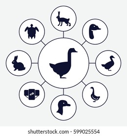 friendly icons set. Set of 9 friendly filled icons such as goose, rabbit, diaper