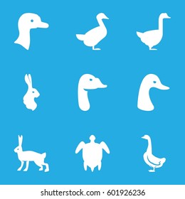 friendly icons set. Set of 9 friendly filled icons such as goose, rabbit