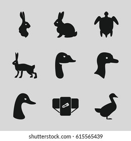 Friendly icons set. set of 9 friendly filled icons such as goose, rabbit, diaper